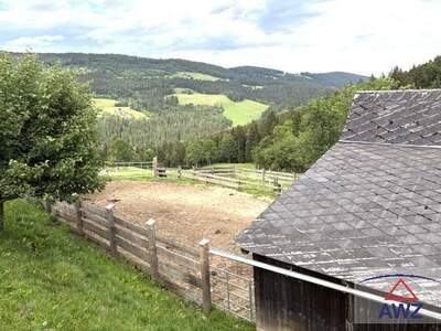 Gewerbeobjekt kaufen in 8584 Hirschegg