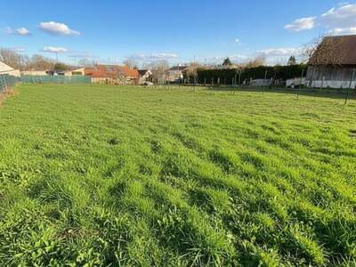 Grundstück kaufen in 2473 Potzneusiedl