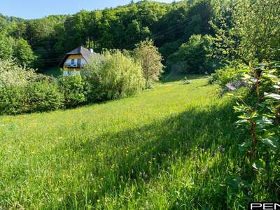 Grundstück kaufen in 4452 Ternberg (Bild 4)