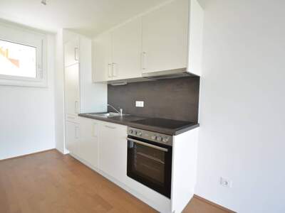 Wohnung mieten in 8055 Graz