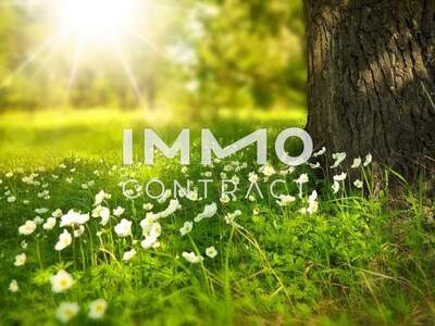 Grundstück kaufen in 7464 Markt Neuhodis