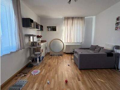 Terrassenwohnung mieten in 4600 Wels (Bild 4)