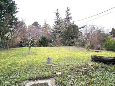 Haus kaufen in 1220 Wien