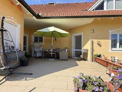 Mehrfamilienhaus kaufen in 2225 Zistersdorf (Bild 5)