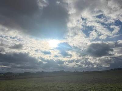 Grundstück provisionsfrei kaufen in 4490 Sankt Florian