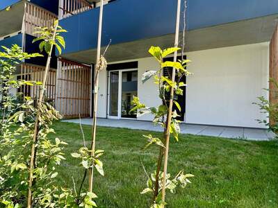 Anlageobjekt kaufen in 8054 Graz (Bild 1)