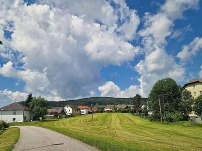 Grundstück kaufen in 4251 Sandl (Bild 1)