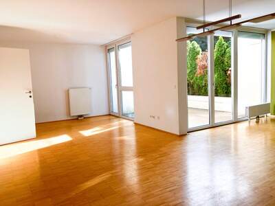 Reihenhaus kaufen in 1230 Wien (Bild 1)