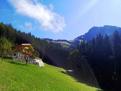 Terrassenwohnung mieten in 6372 Oberndorf (Bild 2)