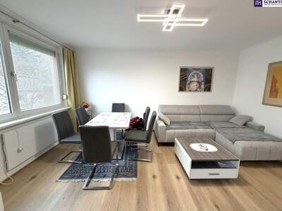 Wohnung mieten in 1130 Wien (Bild 1)