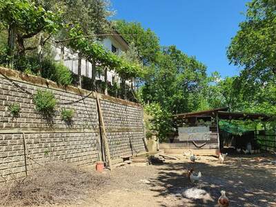 Haus kaufen in 54016 Ripola (Bild 3)