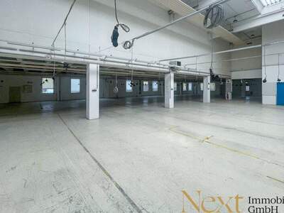 Lager mieten in 4052 Ansfelden (Bild 5)