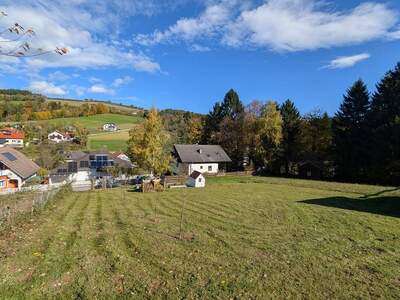 Grundstück provisionsfrei kaufen in 2853 Bad Schönau