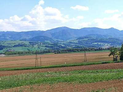 Grundstück kaufen in 4522 Sierning