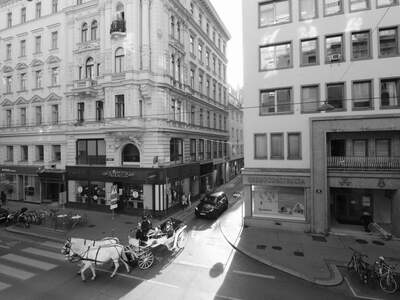 Gewerbeobjekt mieten in 1010 Wien (Bild 1)