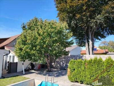 Mehrfamilienhaus kaufen in 2443 Deutsch (Bild 5)