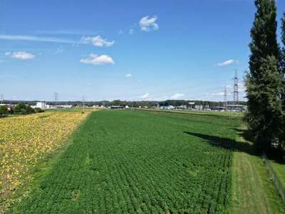 Grundstück kaufen in 8430 Leibnitz