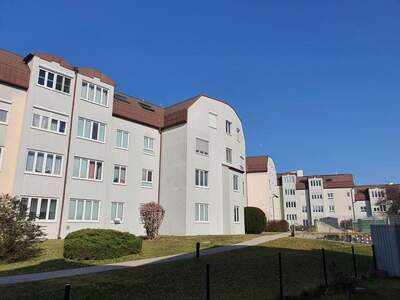 Wohnung mieten in 3500 Lerchenfeld