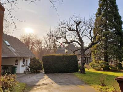 Anlageobjekt kaufen in 2380 Perchtoldsdorf