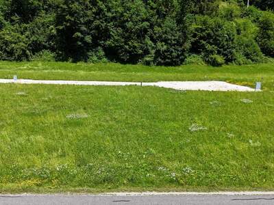 Grundstück kaufen in 3263 Randegg (Bild 5)