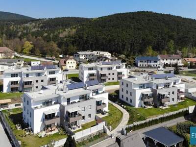 Wohnung mieten in 2630 Ternitz