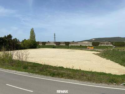 Grundstück kaufen in 2542 Kottingbrunn