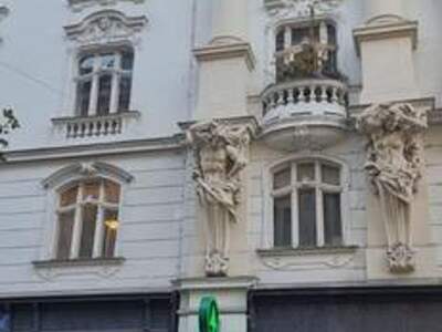 Gewerbeobjekt mieten in 1090 Wien (Bild 1)