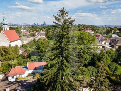 Haus mit Garten kaufen in 1190 Wien (Bild 4)