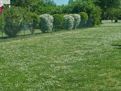 Grundstück kaufen in 3400 Klosterneuburg