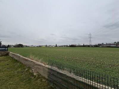 Mehrfamilienhaus kaufen in 4600 Wels (Bild 5)