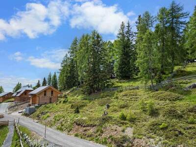 Grundstück kaufen in 9853 Gmünd (Bild 3)