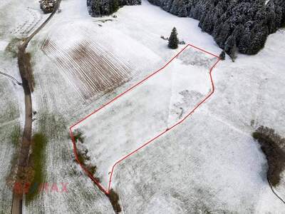 Gewerbeobjekt kaufen in 6912 Möggers