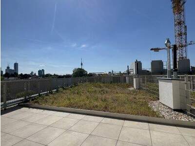 Terrassenwohnung kaufen in 1210 Wien (Bild 1)