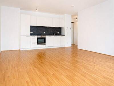 Terrassenwohnung mieten in 1120 Wien (Bild 2)