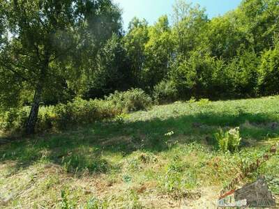 Grundstück kaufen in 2860 Kirchschlag (Bild 1)