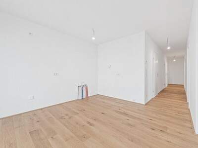 Terrassenwohnung kaufen in 2540 Bad Vöslau (Bild 5)