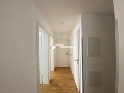 Wohnung mieten in 1220 Wien