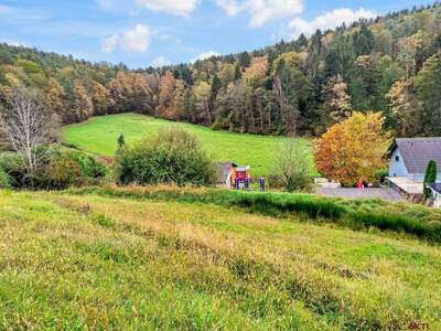 Grundstück kaufen in 8075 Hart (Bild 2)