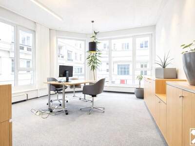 Gewerbeobjekt mieten in 1070 Wien (Bild 1)
