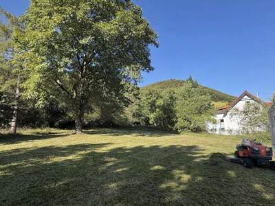 Grundstück kaufen in 2532 Sattelbach