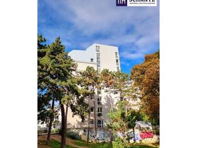 Anlageobjekt kaufen in 1100 Wien