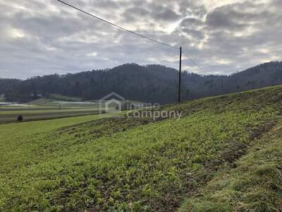 Grundstück kaufen in 8380 Jennersdorf
