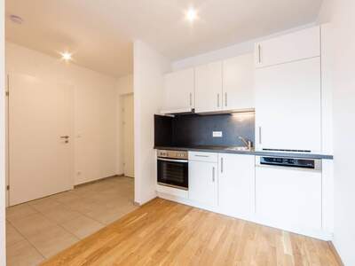 Wohnung mieten in 8053 Graz