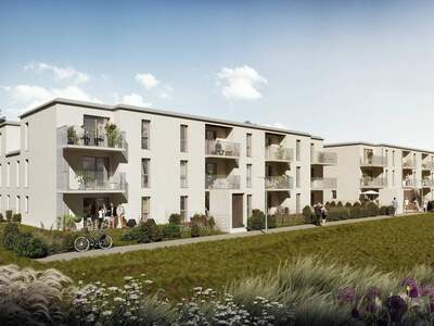 Wohnung mieten in 3500 Krems