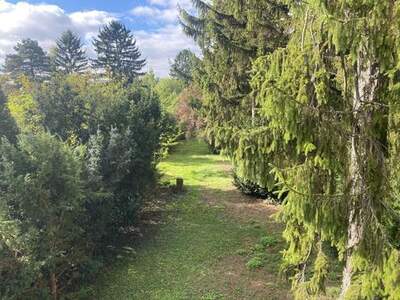 Grundstück kaufen in 2103 Langenzersdorf