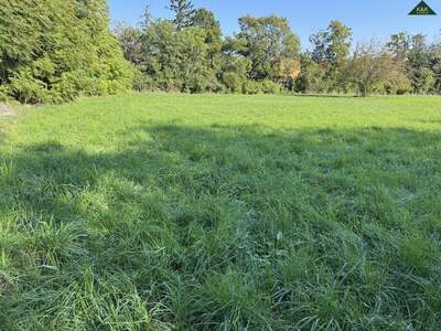 Grundstück kaufen in 2344 Maria Enzersdorf