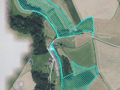 Land- und Forstwirtschaft kaufen in 4193 Reichenthal