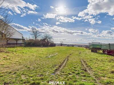 Grundstück kaufen in 7100 Neusiedl (Bild 1)