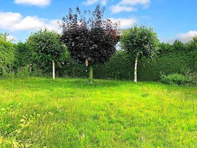 Haus mit Garten kaufen in 2112 Würnitz (Bild 2)