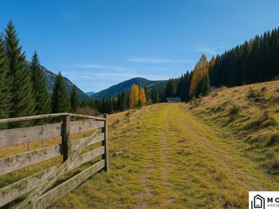 Gewerbeobjekt kaufen in 8850 Murau (Bild 2)